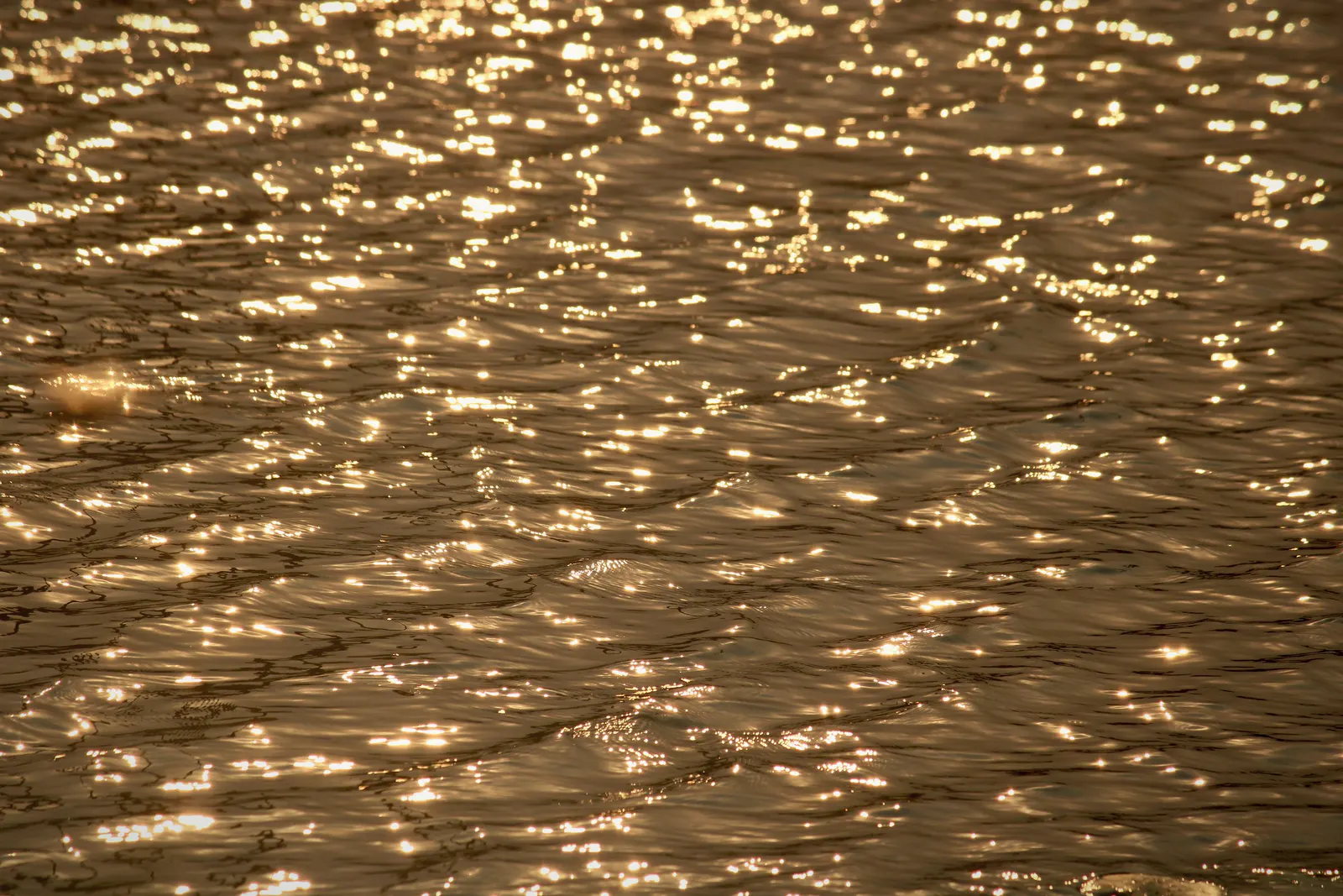 Gold light reflected on dark water